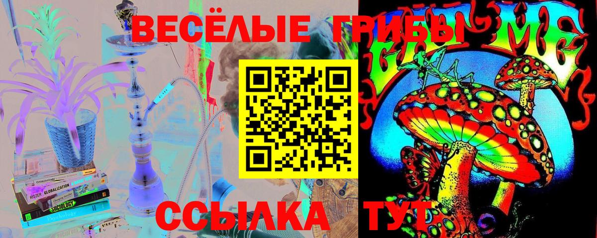 Галлюциногенные грибы Psilocybine cubensis Вязьма